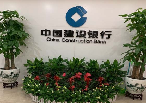 銀行綠植租擺